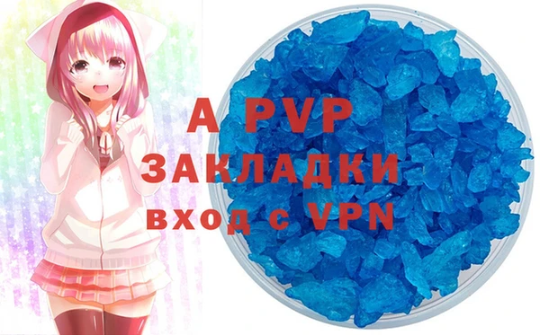молекула духа Ельня