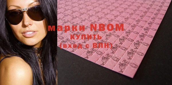молекула духа Ельня