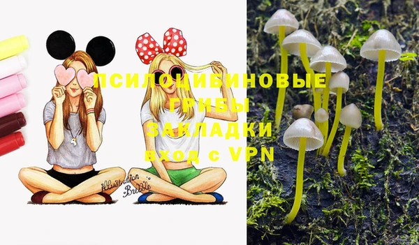 амф Абдулино